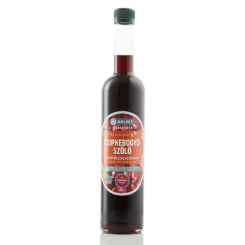 Csipkebogyó gyümölcsesszencia 0,5 l - Bálint Csemegék