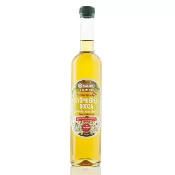   Gyömbéres bodza gyümölcsesszencia 0,5 l - Bálint Csemegék