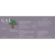 GAL Sensoril® Ashwagandha 60 kapszula
