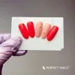 Körömmatrica - Daisy - Perfect Nails
