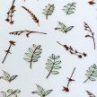 Körömmatrica - Basic Leaves - Perfect Nails