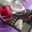 Körömnyomda Lemez - Cute & Girly - Perfect Nails
