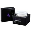 Perfect PolyAcryl Gel - Polygel Clear 15g - Perfect Nails