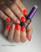 HEMA FREE Gél Lakk - Spicy - 4ml - Perfect Nails