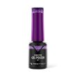 HEMA FREE Gél Lakk - 117 Nordic Violet- 4ml - Perfect Nails