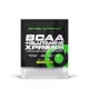 Scitec Nutrition BCAA + Glutamine Xpress 1karton (12gx10db)