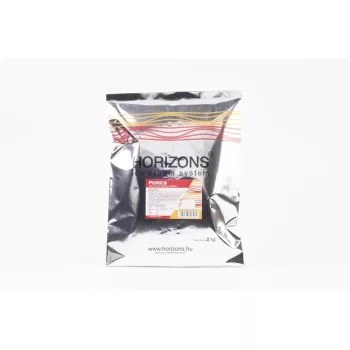 Horizons puncs fagylaltpor 2 kg