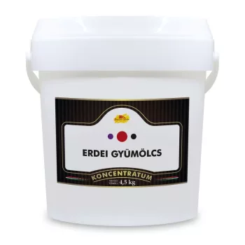 Erdei gyümölcs koncentrátum 4,5 kg