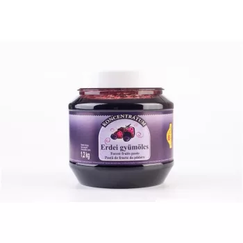 Erdei gyümölcs koncentrátum 1,2 kg