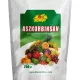 Aszkorbinsav