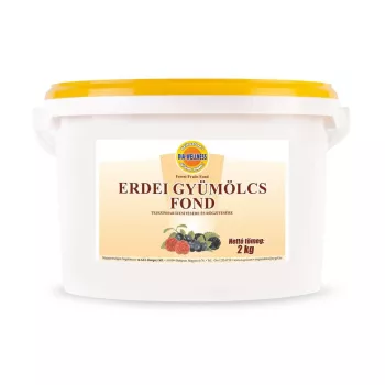   Dia-wellness erdei gyümölcs fond tejszínhab ízesítésére és rögzítésére 2 kg