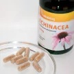 Vitaking Bíbor Kasvirág 250mg 90 kapszula