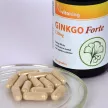 Vitaking Ginkgo Forte 120mg 60 kapszula